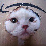 10990628_1599886646922915_724303224_a