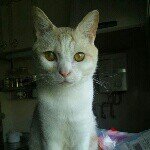 Profile_672688686_75sq_1384428932