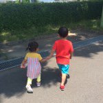 11313443_476612129165267_1381394954_a