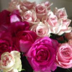 11326734_451383635027531_176956171_a