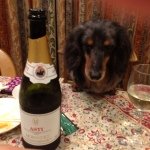 Profile_1307760665_75sq_1399225262