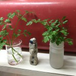 10956780_916742058344801_318720258_a