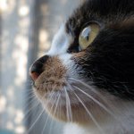 Profile_195149_75sq_1340574959