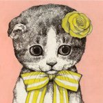 11094500_871439746246324_839677423_a