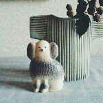 10584761_266889200185778_1512954527_a