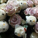 10483341_665672193519402_1316449000_a