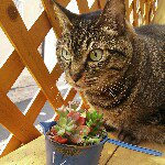 Profile_318725938_75sq_1362453236