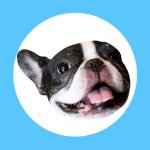 11334588_1587015108218615_14897940_a