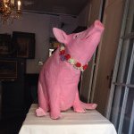 10735370_736813953073611_1584037231_a