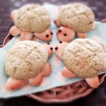 10890590_1538954182912701_290928858_a