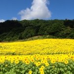 Profile_286555866_75sq_1391304343