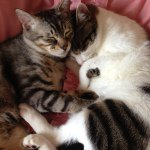 Profile_325611866_75sq_1368446267