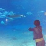 Profile_230695133_75sq_1349139184