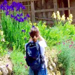 11358298_392237214312561_1593095346_a