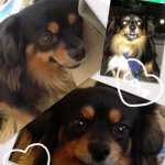 Profile_542119788_75sq_1378454000