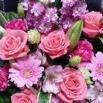 11022915_751857451594926_699337145_a