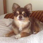 10727358_309439619244310_2039531436_a