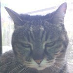 Profile_181000671_75sq_1365002643