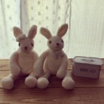 11008113_790316017733671_1794254868_a