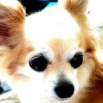 Profile_189253509_75sq_1341209747