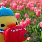 Profile_579249609_75sq_1380372266