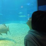 11324474_927199937321504_582159084_a