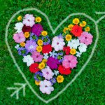 10895503_873863679300849_176813494_a