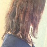 11313407_106222393048516_299789021_a