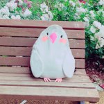 11358962_1648521992044631_1725086649_a