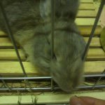 11358207_506727226156986_583173923_a