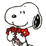 10903463_694833800634672_1382816491_a