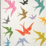 10808454_801345136598088_827916850_a