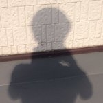 Profile_177268163_75sq_1338645319