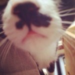 Profile_1307646070_75sq_1399207374