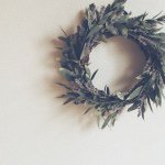 11005211_807771119313584_1454988616_a