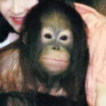 11327864_1450075161961966_527852691_a