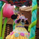 11190217_1442281239404600_799214353_a