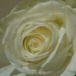 10508067_690421227662169_766288421_a