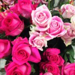 10808905_371193133047598_282729750_a