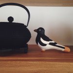 10995182_1376099916042546_1385256639_a