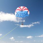 11208192_449456458565261_290290287_a