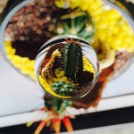 11189661_685192808252012_1479010708_a