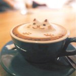 11055641_1620274521538566_1487792289_a