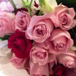 10990645_1547278442216147_1032516464_a