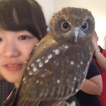 11334566_858582357565345_414888653_a