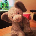 11372513_926041110752526_1174929425_a