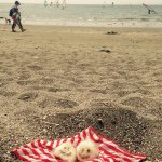 11287539_955921524468967_1304082935_a