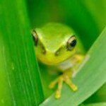 924561_503031419830731_1866745087_a