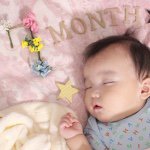 11282767_375994519266365_320324884_a