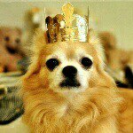 10616892_549319798530677_814839931_a